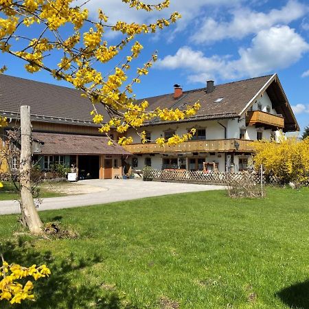 Ferienwohnungen Dopplerhof Piding Exterior foto